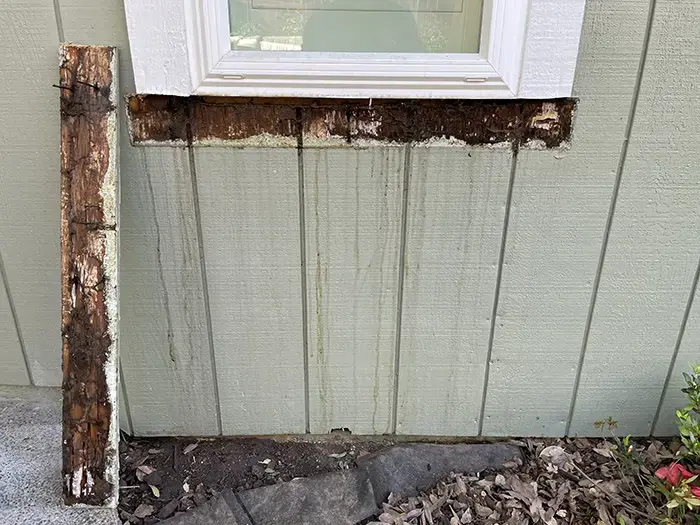 Dry Rot Repair Folsom, CA