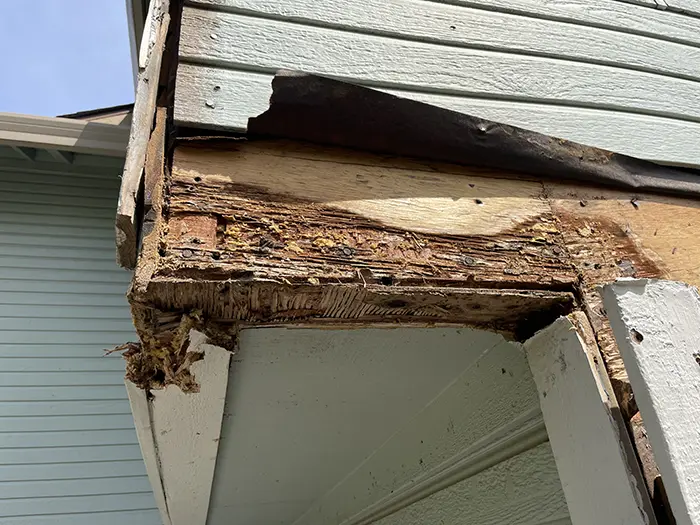 Dry Rot Repair Folsom, CA