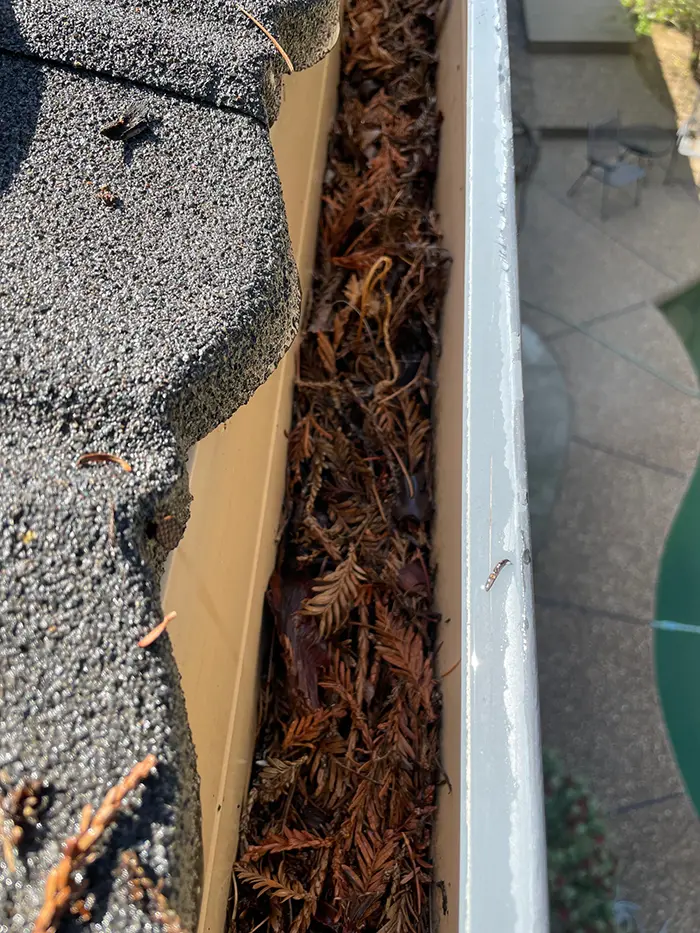 Gutter Cleaning in Folsom, CA